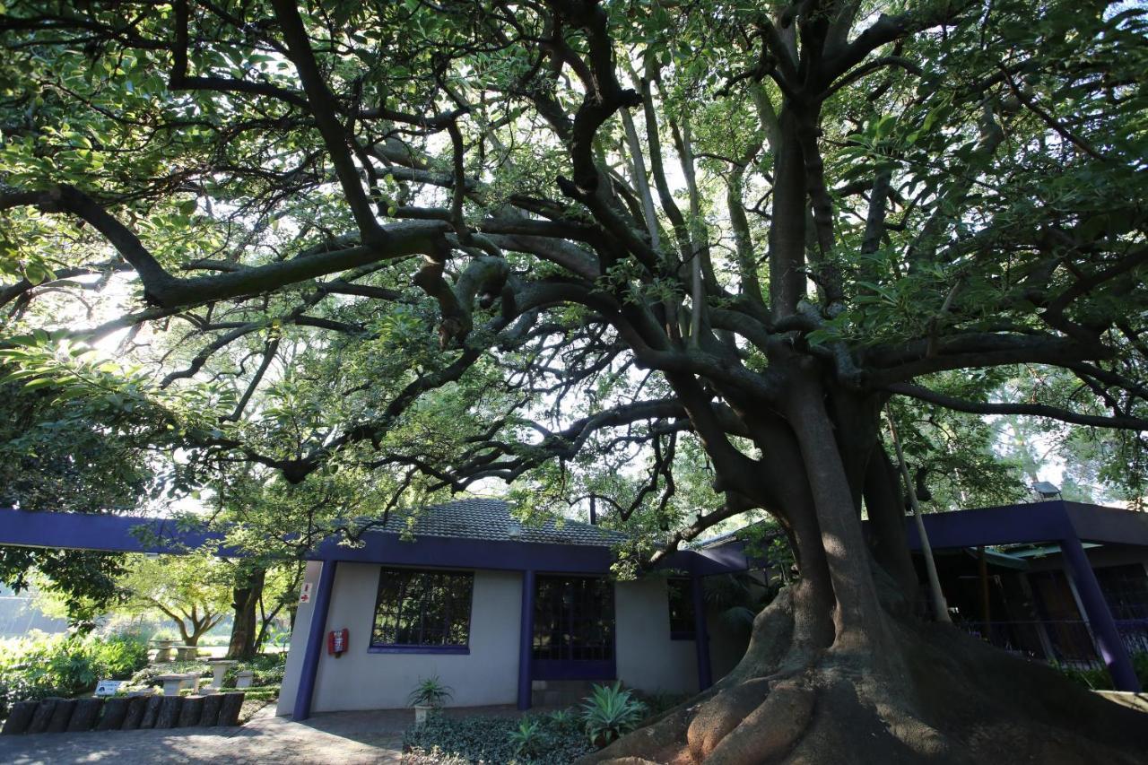فندق Big Tree ميدراند المظهر الخارجي الصورة